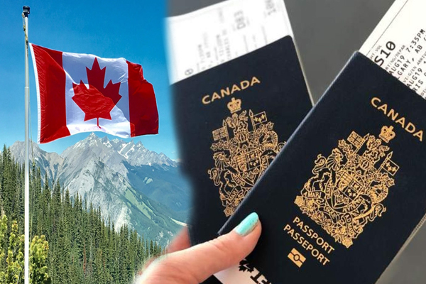 தற்காலிக விசாவில் கனடா சென்ற தமிழர்களுக்கு வெளியான பகீர் தகவல் | Info Totamils Who Went To Canada On Temporary Visa