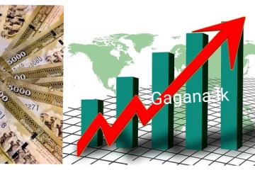 25% ක ආර්ථික වර්ධනයක් 2025 දී..