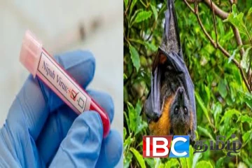 இந்தியாவில் பரவும் கொடிய நிபா வைரஸ்