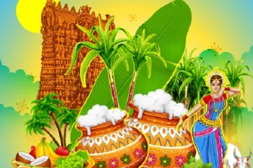 வடக்கில் கோலாகலமாக தயாராகும் தைப்பொங்கல் கொண்டாட்டம்