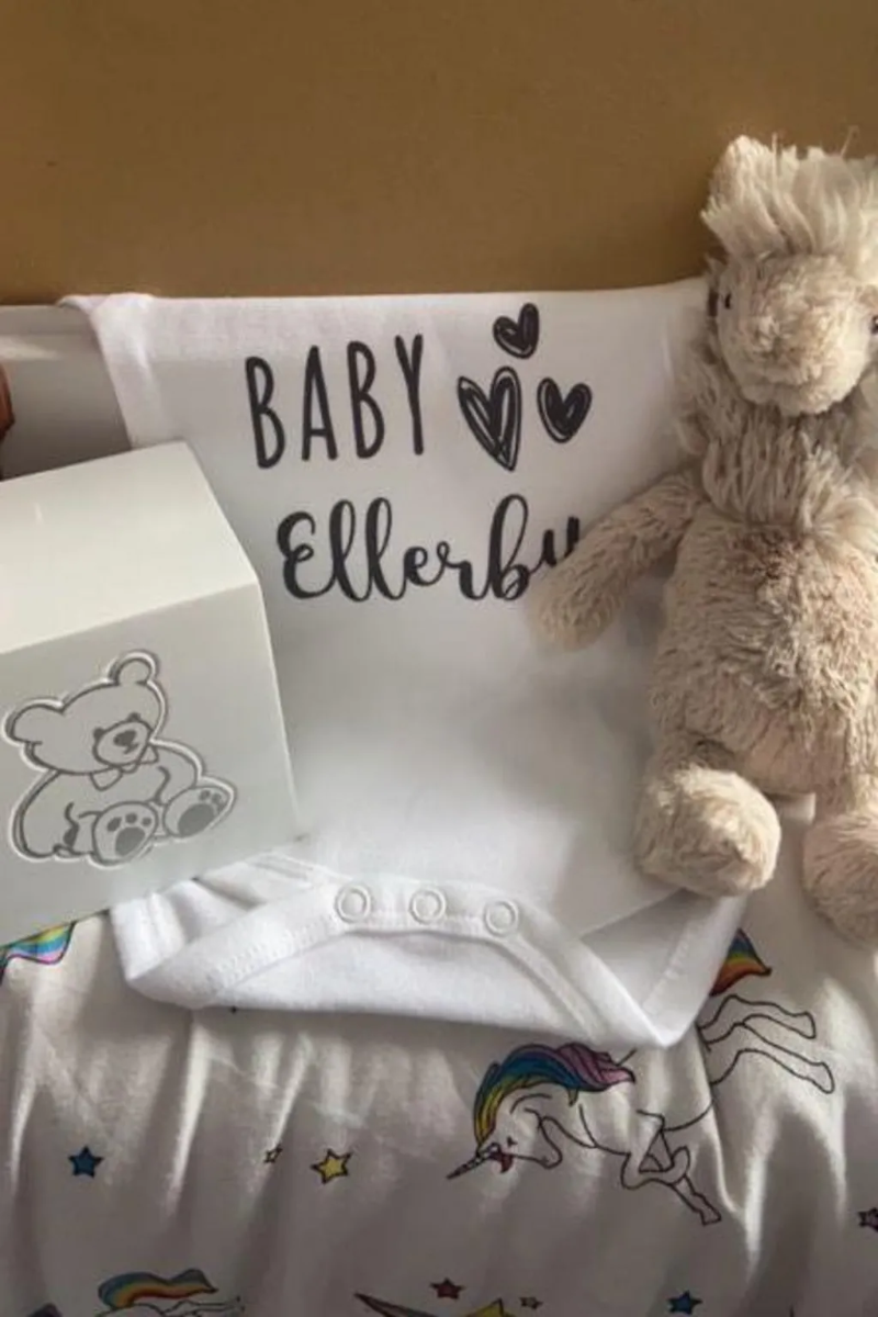 கருவில் இறந்த குழந்தை: பிரித்தானிய தாய்க்கு கிடைத்த பேரதிர்ச்சி | Uk Mom Got Animal Ashes Instead Her Baby Ash