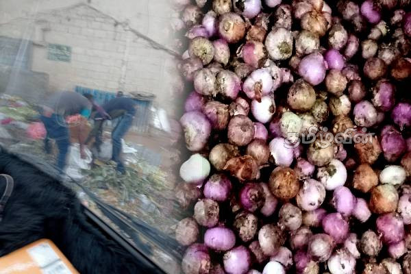 கிண்ணியாவில் பழுதடைந்த காய்கறிகள் விற்பனை : மேற்கொள்ளப்பட்ட அதிரடி நடவடிக்கை | Rotten Vegetables Recovered In Kinniya