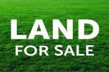 ඇමතිවරු-බැංකු-පොලිසිය එක්ව කරන මහා ඉඩම් කොල්ලයක තොරතුරු එළියට..? (VIDEO)