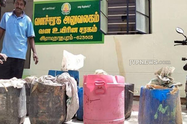 இலங்கைக்கு கடத்தவிருந்த மர்ம பொருள் மீட்பு! ஒருவர் அதிரடி கைது | Smuggled To Sri Lanka Sea Cucumber Recovered