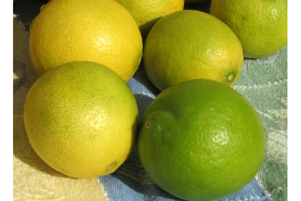 நீரிழிவு நோயாளருக்கு வரப்பிரசாதமாகும் எலுமிச்சை! | Lemon Is A Boon For Diabetics