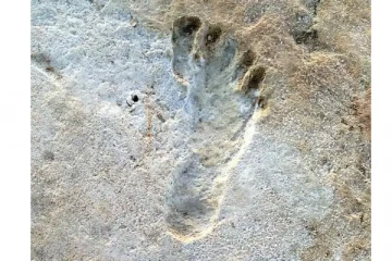 23,000 ஆண்டு பழமையான மனிதனின் கால் தடங்கள் கண்டுபிடிப்பு! ஆச்சரியத் தகவல்