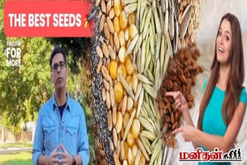 ஒட்டுமொத்த ஆரோக்கியத்தையும் மேம்படுத்தும் விதைகள்! இந்த பிரச்சினைக்கு எந்த விதை?