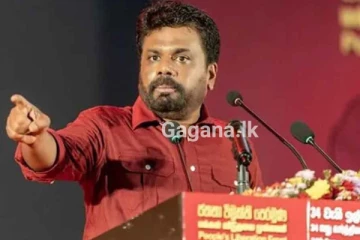 සමීක්ෂණ රැසකින් මාලිමාව ඉහළටම