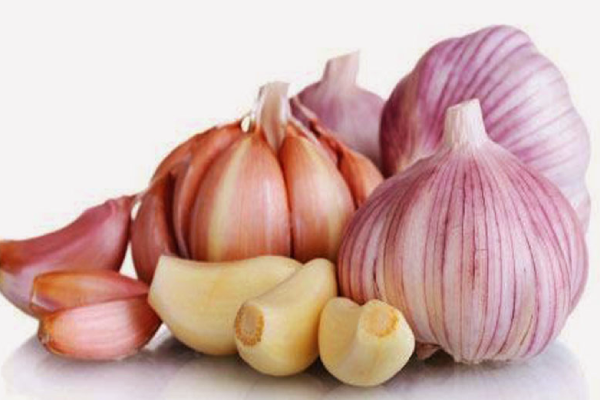 பல்லிகளை வீட்டில் இருந்து அடியோடு விரட்டும் எளிய வழிமுறைகள் இதோ | How To Keep Lizards Away From Your House பல்லிகளை வீட்டில் இருந்து அடியோடு விரட்டும் எளிய வழிமுறைகள் இதோ | How To Keep Lizards Away From Your House