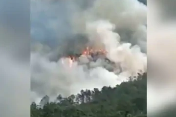 133 பயணிகளுடன் எரிந்து விபத்திற்குள்ளாகிய சீன விமானம்! ஏராளமானோர் பலி (Video)