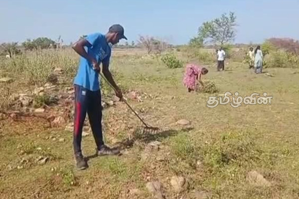 மாவீரர் தின அஞ்சலி வரலாற்று ரீதியாக மறக்க முடியாதது | Heroes Day Tribute Is Historically Unforgettable மாவீரர் தின அஞ்சலி வரலாற்று ரீதியாக மறக்க முடியாதது | Heroes Day Tribute Is Historically Unforgettable