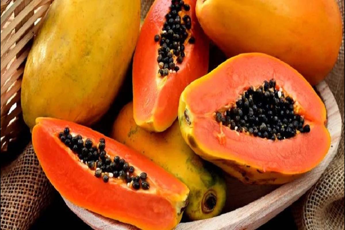 கோடைக்காலத்தில் பப்பாளி சாப்பிட்டால் என்ன ஆகும்.. ? | Eating Papaya Summer Time Benefits In Tamil