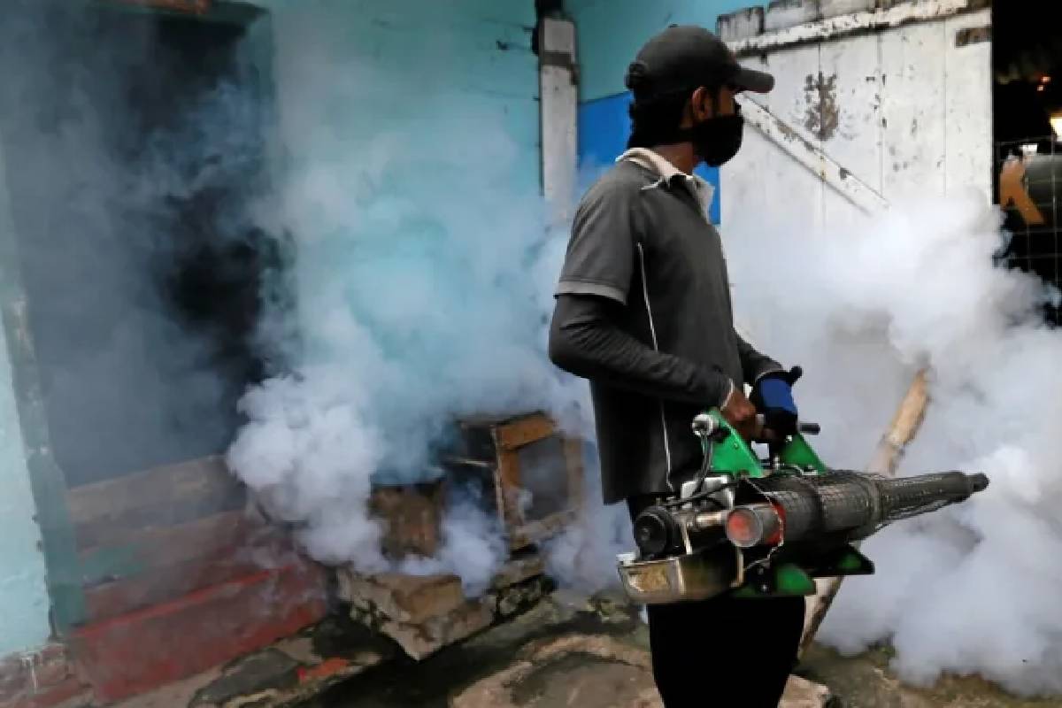 நாட்டில் தாண்டவமாடும் டெங்கு - 175 ஆக உயர்ந்த அபாய வலயங்கள் | Dengue Outbreak In The Country 175 High Risk Zones