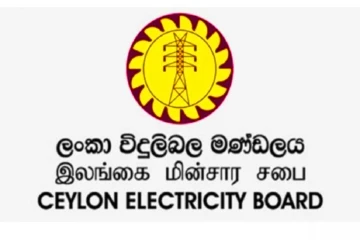 අවුරුදු උත්සව සඳහා අවශ්‍ය කෙරෙන විදුලිය ලබා දෙන බව රජයෙන් කියයි