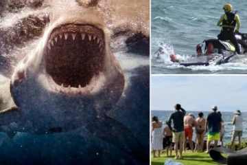 சுற்றுலாவுக்கு சென்ற காதல் தம்பதி…மனைவியை உயிருடன் தின்ற சுறா மீன்: கதிகலங்கிய கணவன்