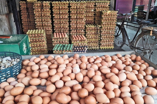 நாளை நாட்டை வந்தடையுள்ள இந்திய முட்டைகள்! | Indian Eggs Arriving In The Country Tomorrow