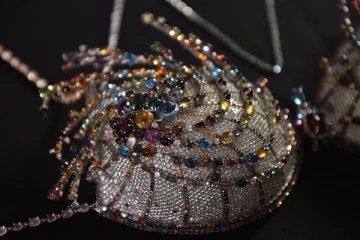 கின்னஸில் இடம்பிடித்த உலகின் விலை உயர்ந்த உள்ளாடை!