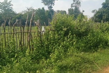 பயிர் செய்கைக்கு வழிவிடுமாறு வனவளத் திணைக்களத்திடம் மக்கள் கோரிக்கை (Photos)