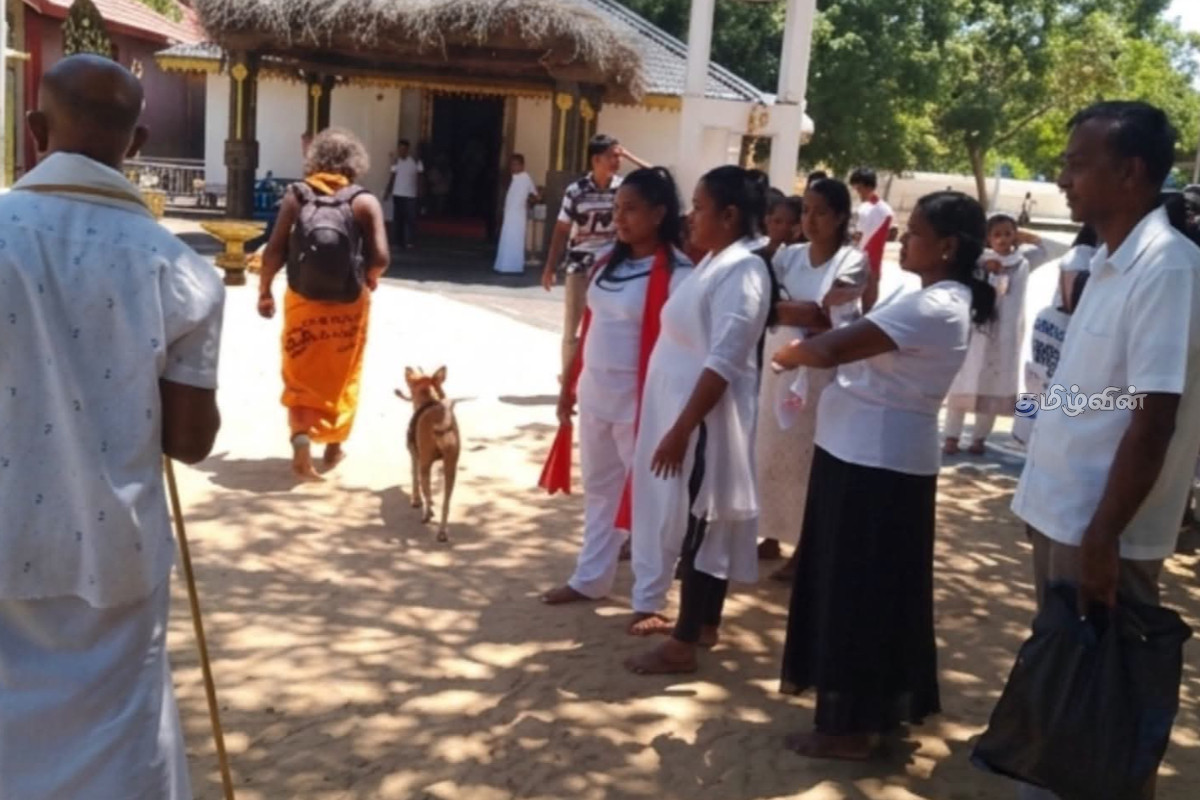 பாதயாத்திரை குழுவிலிருந்து அகற்றப்பட்ட சுப்பிரமணி நாய் - கதிர்காமத்தை சென்றடைந்தது..! | Subramaniam Owner Has Taken The Dog Kathirgamam பாதயாத்திரை குழுவிலிருந்து அகற்றப்பட்ட சுப்பிரமணி நாய் - கதிர்காமத்தை சென்றடைந்தது..! | Subramaniam Owner Has Taken The Dog Kathirgamam