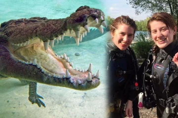 சகோதரியை முதலையிடமிருந்து காப்பாற்றப் போராடிய பிரித்தானிய இளம்பெண்: கிடைத்துள்ள இன்ப அதிர்ச்சி