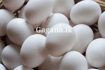 අඩුම ගාණට දුන්න බිත්තර - ගේනවත් ඒකකම බිත්තර වලට වුණේ මොකක්ද දන්නව ද?. මේ ඒ ගැනයි.