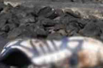 තරුණයන් දෙදෙනෙකුට දිවි අහිමි කළ අවාසනාවන්ත දුම්රිය අනතුර..