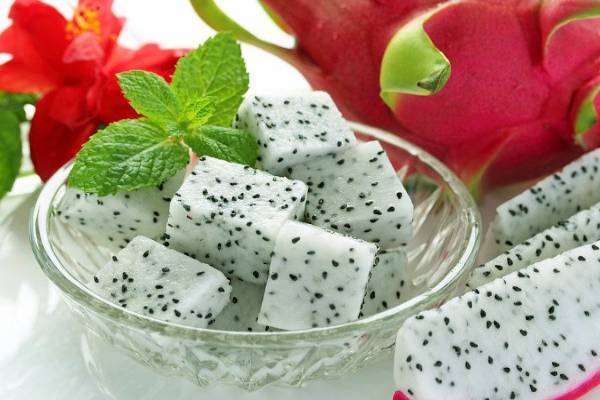 இலங்கை றீச்ஷா பண்ணையில் அமோக விளைச்சல் தரும் டிராகன் பழம் | Reecha Dragon Fruit Farm And Health Benefits