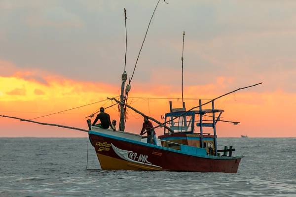 நடுக்கடலில் பரபரப்பு: வசமாக சிக்கிய காரைக்கால் கடற்றொழிலாளர்கள் | Accusations Karaikal Fishermen Are Increasing