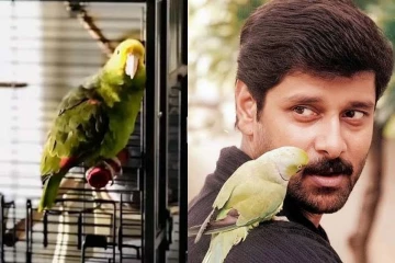 கிளிக்கு கூட ஆங்கிலம் தான் கற்றுக்கொடுக்கனுமா? நடிகர் விக்ரமை விளாசும் நெட்டிசன்கள்