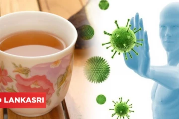 நோய் எதிர்ப்பு சக்தியை அதிகரிக்க இந்த ஒரு டீ போதும்... தினமும் குடிச்சு பாருங்க