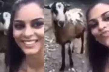 தலையால் பெண்ணை தாக்கிய ஆடு! மகிழ்ச்சியில் இருந்த இளம் பெண்ணுக்கு நொடியில் நடந்த விபரீதம்