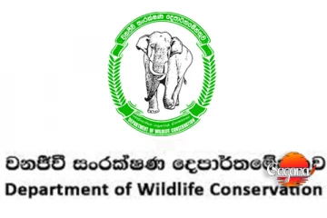 ජාතික වනෝද්‍යාන කිහිපයක් වසා දමයි