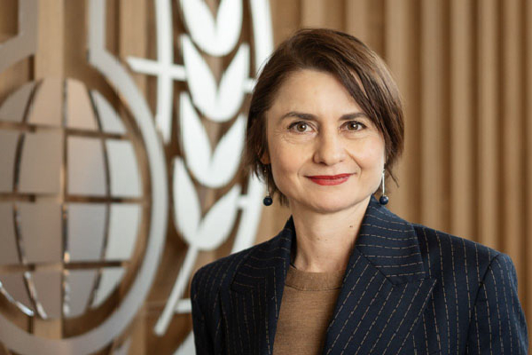 தமிழ்கட்சிகளை ஒரே நிலைப்பாட்டிற்குள் கொண்டுவர சுவிஸ் கடும் முயற்சி : கொழும்பில் சிறப்பு சந்திப்பு | Swiss Bring Tamil Parties To A Common Position