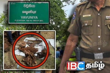 தமிழர் பகுதியில் தனியார் காணியில் இருந்து மீட்கப்பட்ட துப்பாக்கிகள்