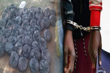 மன்னாரில் இருந்து யாழிற்கு கொண்டு செல்லப்பட்ட ஆமை இறைச்சியுடன் இருவர் கைது