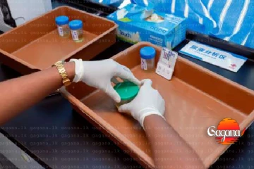 ආයේ බීලා වාහනේ අතට ගත්තොත් වැඩ වරදියි - රිපෝර්ට් එක විනාඩි 2න්