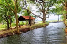 யாழில் திடீரென்று சொர்க்கம்போல் மாறிய இடம் தற்போது நரகமாக