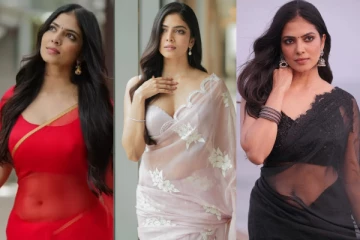 32 வயதாகும் நடிகை மாளவிகா மோகனனின் சொத்து மதிப்பு.. எவ்வளவு தெரியுமா