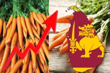 மீண்டும் உச்சம் தொட்ட கரட்டின் விலை