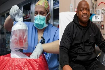 முதல்முறை பன்றி சிறுநீரகம் உறுப்பு மாற்று சிகிச்சை - பொருத்தப்பட்ட நபர் உயிரிழப்பு !