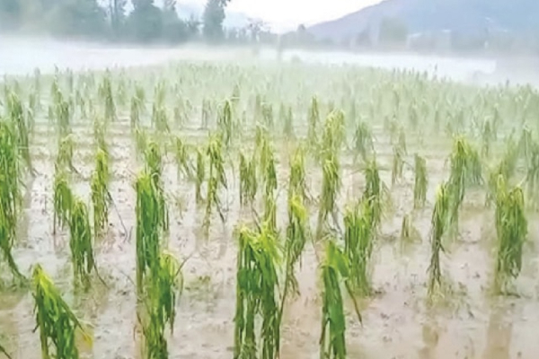 வாட்டியெடுக்கும் மோசமான காலநிலைக்கு மத்தியில் பேரிடியான மற்றுமொரு செய்தி | Weather Alert In Sri Lanka