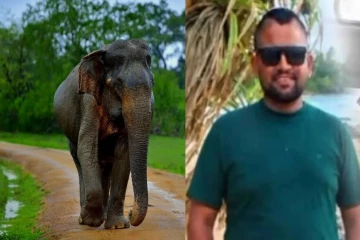 விகாரையில் இருந்த யானை தாக்கியதில் இளைஞர் உயிரிழப்பு