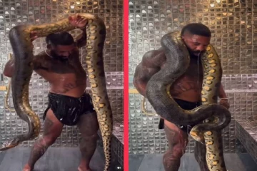 viral video: ராட்சத அனகொண்டா பாம்புடன் ஒரு குளியல்... மாஸ் காட்டும் நபர்!