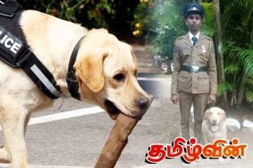 தென்னிலங்கையில் ஆடம்பர வீட்டுக்குள் சிக்கிய மர்மம் : நாயினால் சிக்கிய பெண்