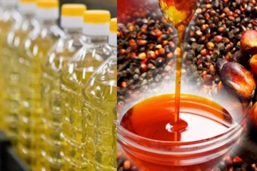 சந்தையில் தேங்காய் எண்ணெய் தட்டுப்பாட்டின் பின்னணியில் மாபியா கும்பல்