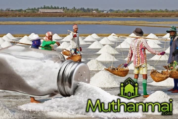 உப்பின் விலையில் ஏற்படப்போகும் மாற்றம்