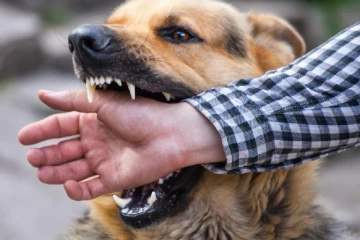 ජලභීතිකාවෙන් මරණ වැළැක්වීමට එකම විසඳුම – වෛද්‍යවරු අනතුරු අඟවති