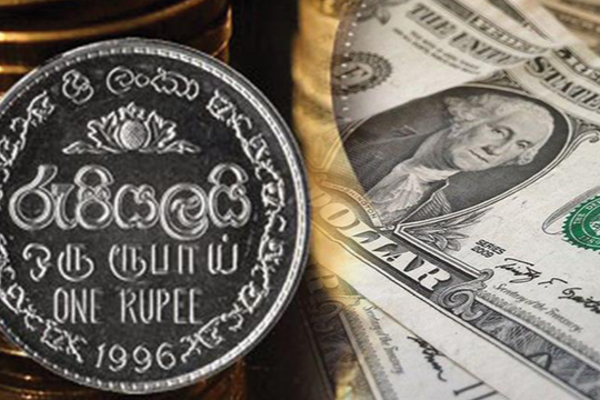 இலங்கை ரூபாவின் பெறுமதி உயர்வு! | The Value Of The Sri Lankan Rupee Has Increased