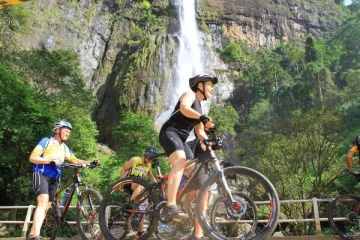 බයිසිකල් පැදීම නිසා ඔබට ලැබෙන වාසි ගැන ඔබ දැනුවත්ද...?