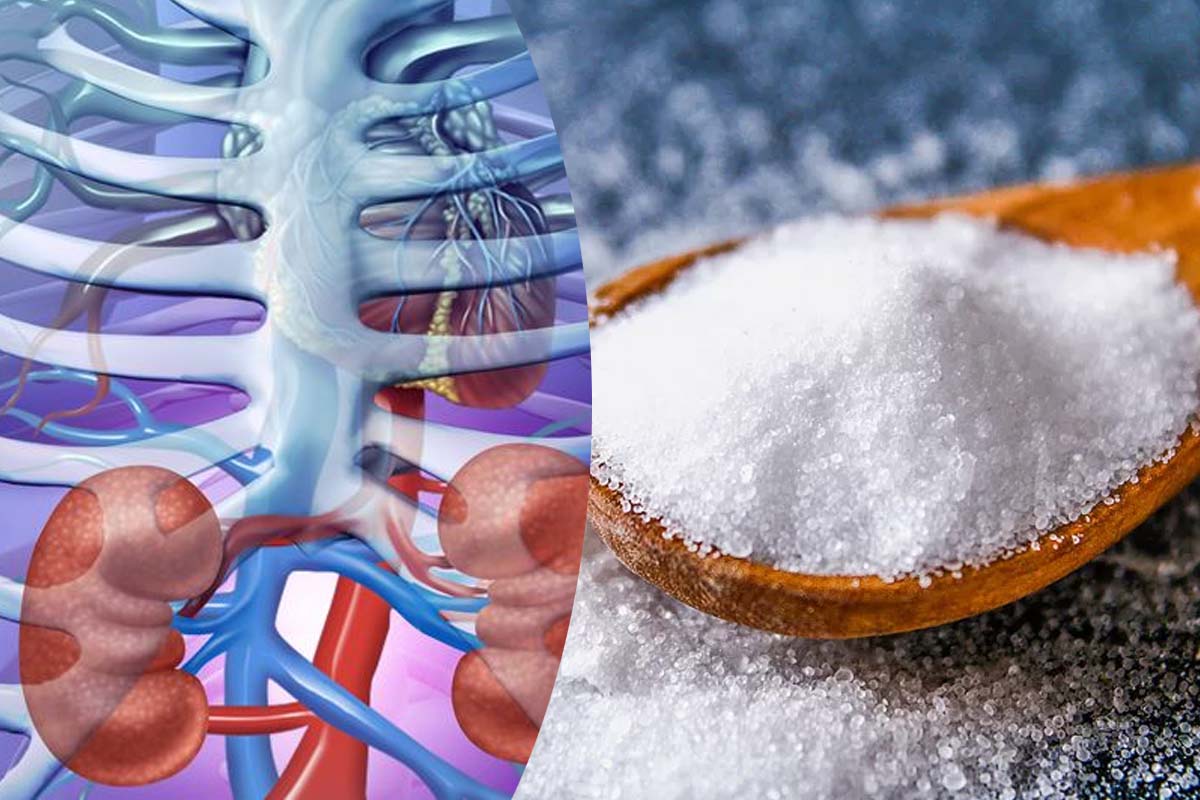 எந்தெந்த உணவுகள் எந்தெந்த உடல் உறுப்புகளை பாதிக்கும் தெரியுமா? | Which Food Eat Which Organ Gets Damaged